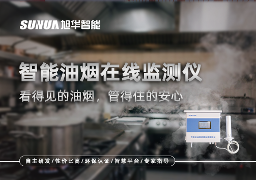 智能油烟在线监测仪：看得见的油烟，管得住的安心